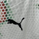 Portugal 2025 Visita Jersey Fan - Imagen 4
