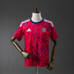 Costa Rica 2026 Local Jersey Fan
