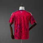 Costa Rica 2026 Local Jersey Fan - Imagen 2